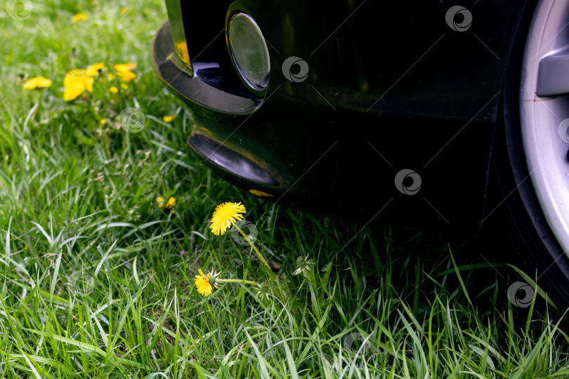 Скачать Колесо автомобиля на траве и цветах крупным планом фотосток Ozero