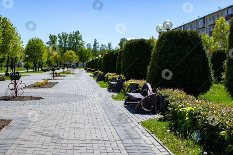 Скачать Аллея со скамейками и кустами в парке фотосток Ozero