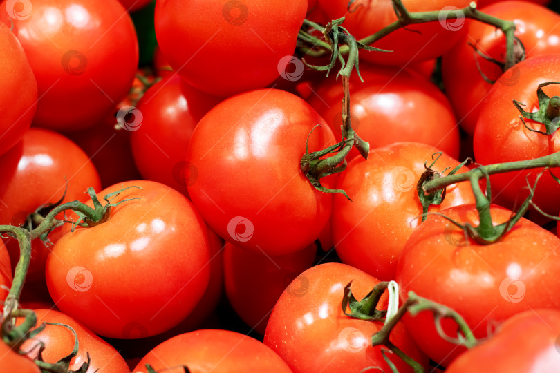 Скачать Ярко-красные помидоры крупным планом, фон или текстура фотосток Ozero