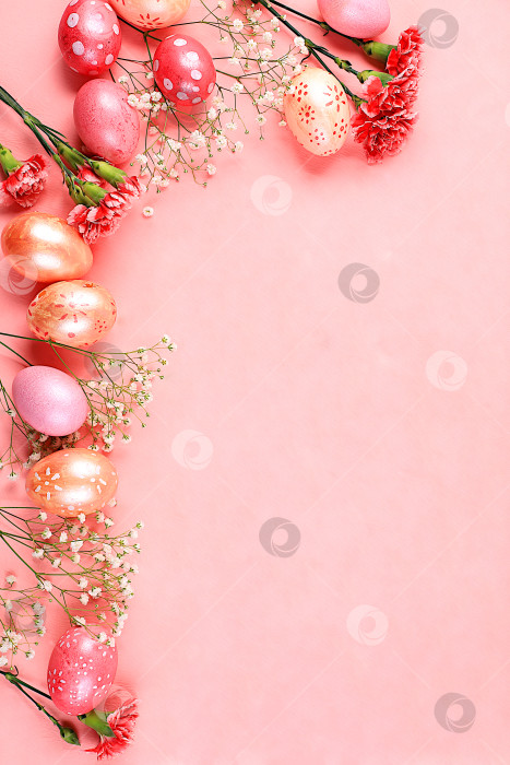 Скачать Пасхальная композиция, весенний баннер с цветами гвоздики и крашеными яйцами с местом для текста, концепция пасхальных праздников, поздравительная открытка, фотосток Ozero