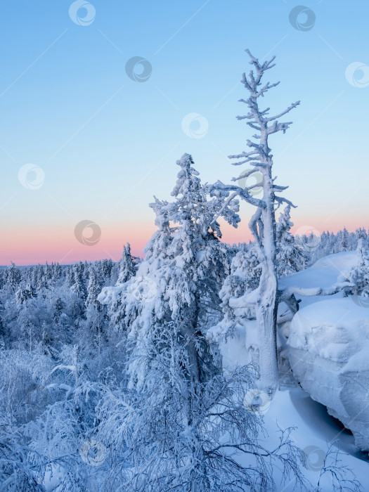 Скачать Прекрасный восход солнца морозным утром, заснеженный утес, деревья на краю. фотосток Ozero
