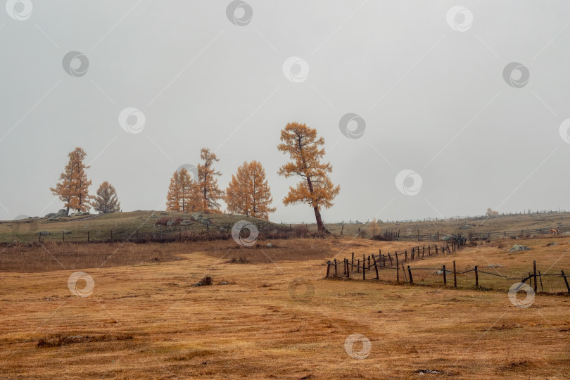 Скачать Сельский пейзаж. Старый деревянный забор. фотосток Ozero