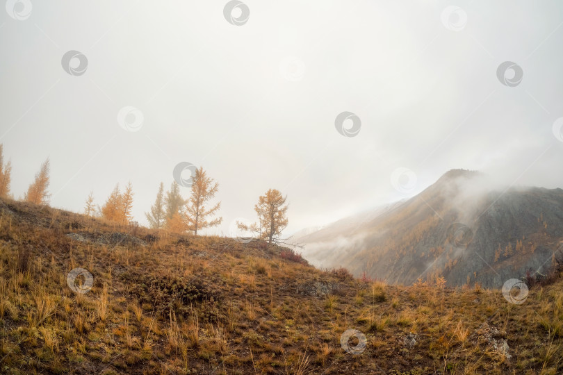 Скачать Снежные облака плывут над осенней лесистой горной долиной. фотосток Ozero