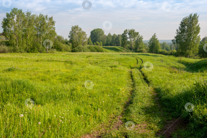 Скачать Раннее утро. Роса на траве, солнечные лучи и дорога, уходящая за горизонт. Прекрасный летний пейзаж. фотосток Ozero