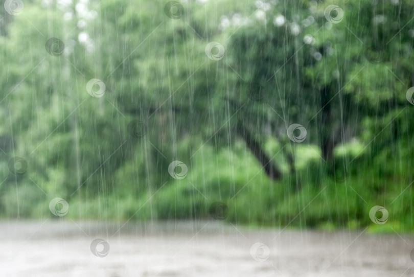 Скачать Размытые капли дождя в движении на фоне леса. фотосток Ozero