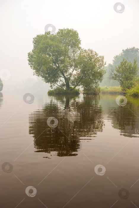 Скачать Озеро и деревья в густом тумане. Осенний пейзаж. фотосток Ozero