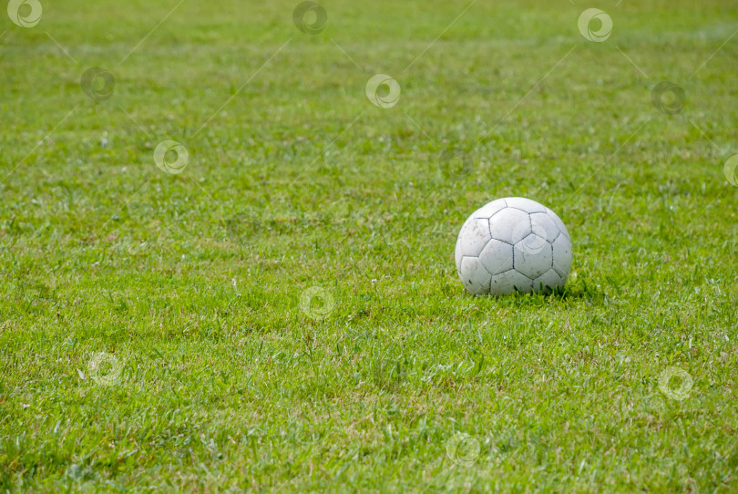 Скачать Футбольный мяч на зеленом газоне поля. фотосток Ozero