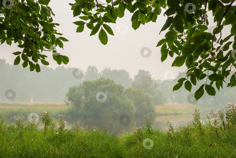 Скачать Озеро и деревья в густом тумане. Осенний пейзаж. фотосток Ozero