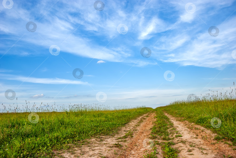 Скачать Поле и грунтовая дорога, уходящие за горизонт на фоне голубого неба с облаками. фотосток Ozero