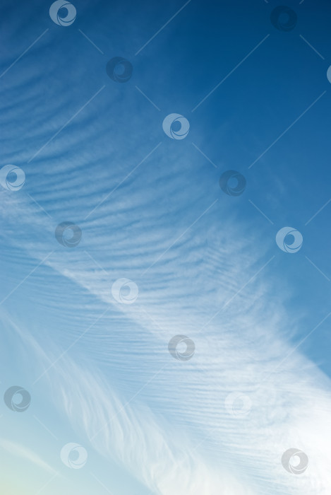 Скачать Куча белых облаков в ясном голубом небе. фотосток Ozero