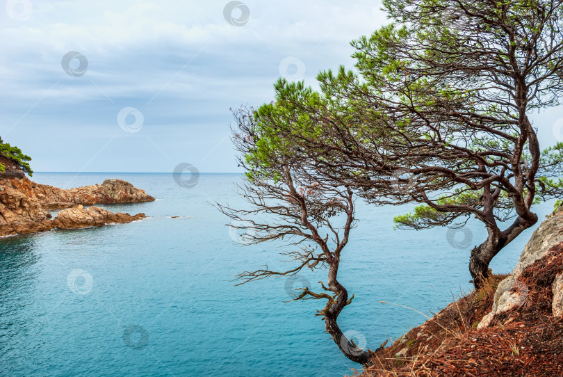 Скачать Тосса-де-Мар, Каталония, Испания. Живописное побережье Коста-Брава с прекрасными пляжами и чистой бирюзовой водой. фотосток Ozero