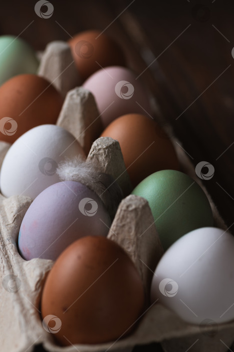 Скачать Разноцветные яйца на деревянном столе фотосток Ozero