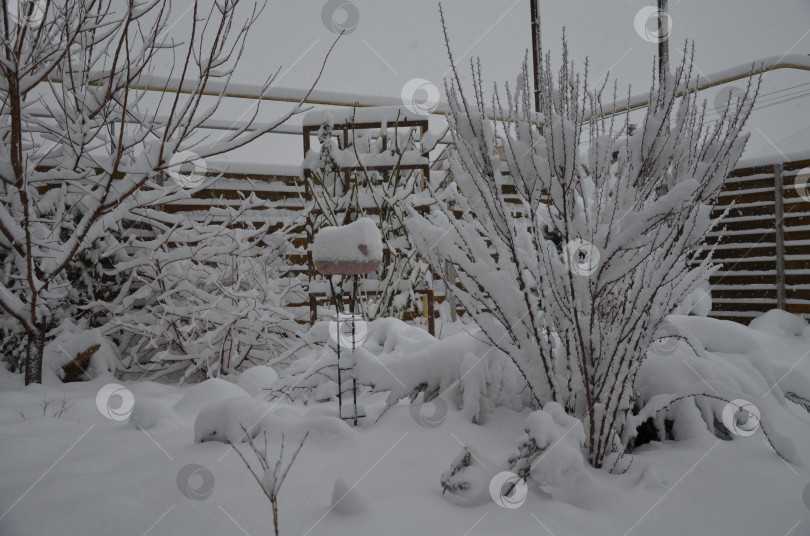 Скачать Сад зимой фотосток Ozero