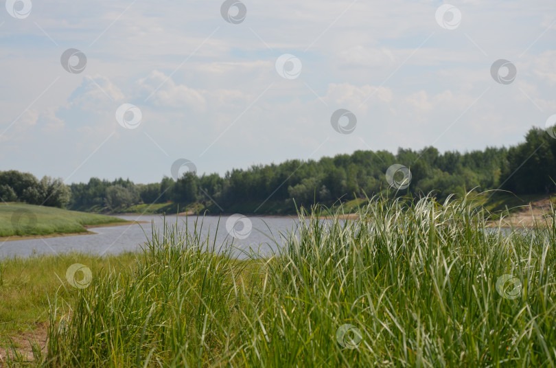 Скачать Зеленые луга фотосток Ozero