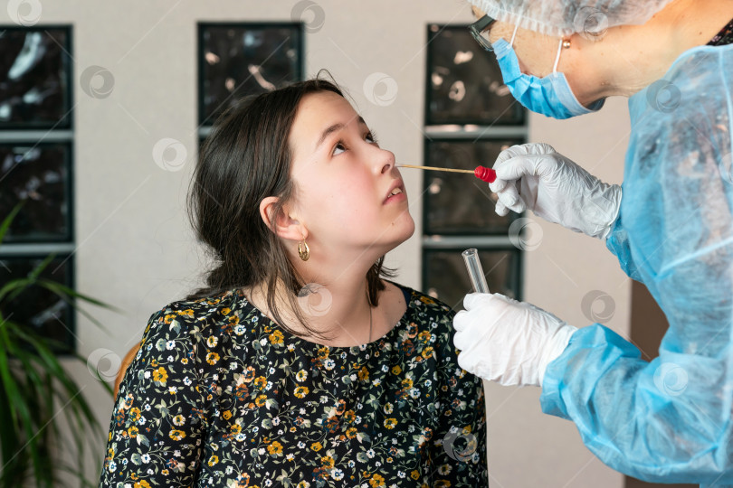 Скачать врач берет мазок из носа девочки, тест на ДНК, ПЦР-тест фотосток Ozero