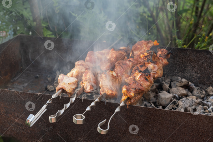 Скачать Шашлык на шампуре. Шашлык из свежего мяса, приготовленный на углях гриля, на открытом воздухе фотосток Ozero