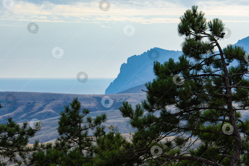 Скачать Красивый морской пейзаж со скалистым берегом на горизонте. Панорамный вид на горы вдоль Черноморского побережья Крыма с высоты горного хребта между Феодосией и Коктебелем. фотосток Ozero