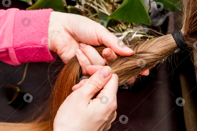 Скачать Руки парикмахера, специалист, стилист плетет косы, делает прическу. фотосток Ozero