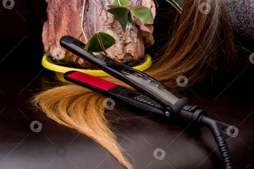 Скачать Парикмахерские инструменты, профессиональные инструменты для стрижки, укладки  волос. фотосток Ozero