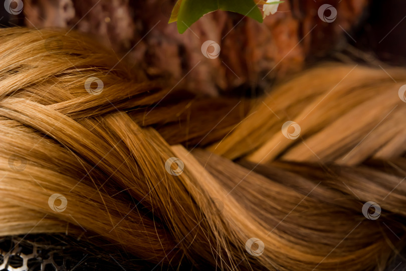 Скачать Светлые волосы сплетенные в косу. фотосток Ozero