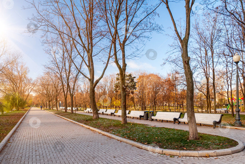 Скачать Городской осенний парк в лучах солнца. фотосток Ozero