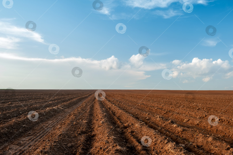 Скачать вспаханное поле и голубое небо на закате фотосток Ozero