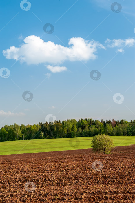 Скачать вспаханное поле, лес и голубое небо на закате фотосток Ozero