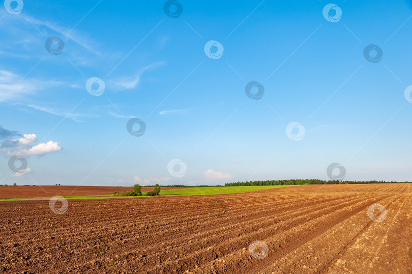 Скачать вспаханное поле и голубое небо на закате фотосток Ozero