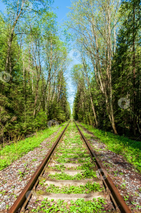 Скачать Железнодорожная линия в сельской местности в солнечный день. Путешествие на поезде фотосток Ozero