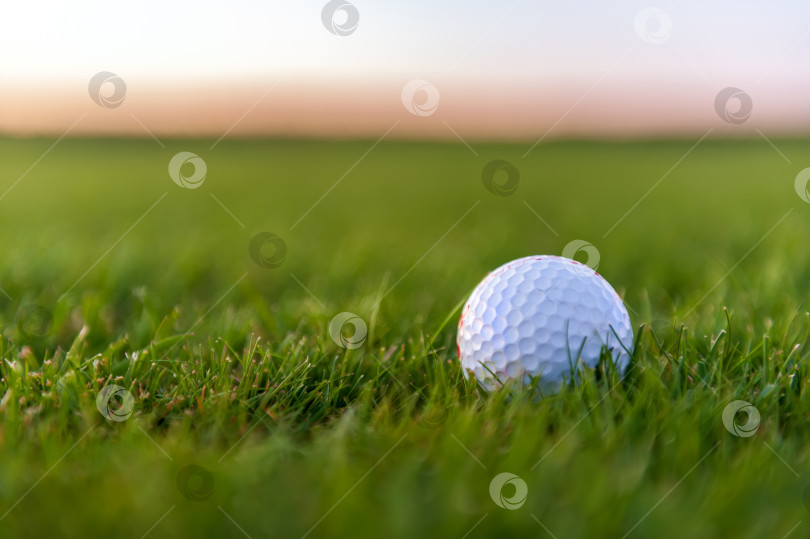 Скачать Мячи для гольфа на искусственной траве с размытым фоном фотосток Ozero