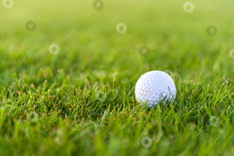 Скачать Мячи для гольфа на искусственной траве с размытым фоном фотосток Ozero