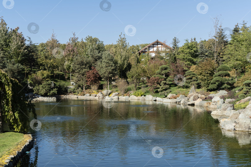 Скачать Краснодарский "Японский сад". Озеро Кагамийке или Зеркальное озеро (“кагами” - зеркало). Деревья и кустарники, растущие у кромки воды, отражаются в воде, как в зеркале. Городской парк "Краснодар" или парк Галицкого фотосток Ozero