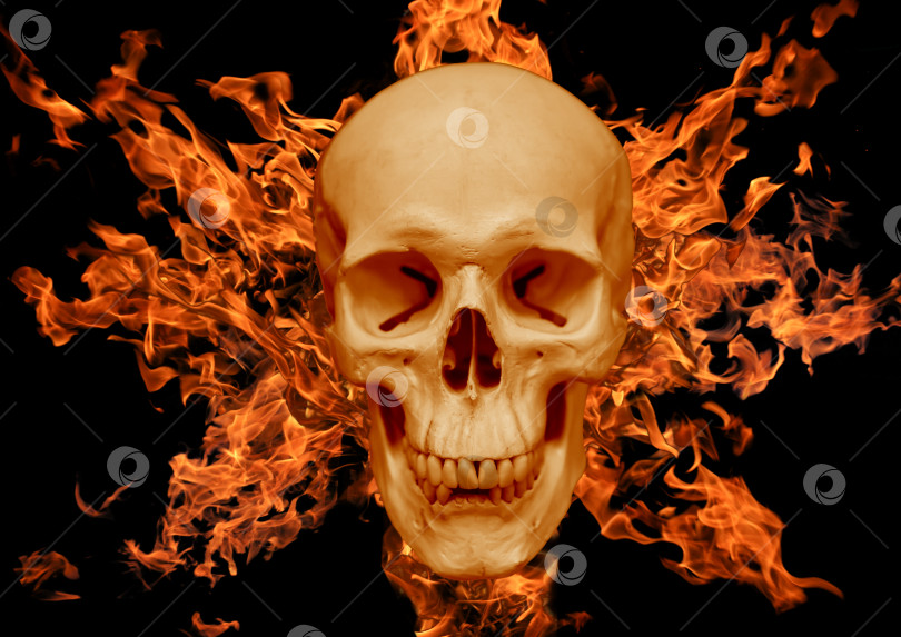 Скачать Человеческий череп на фоне пламени фотосток Ozero