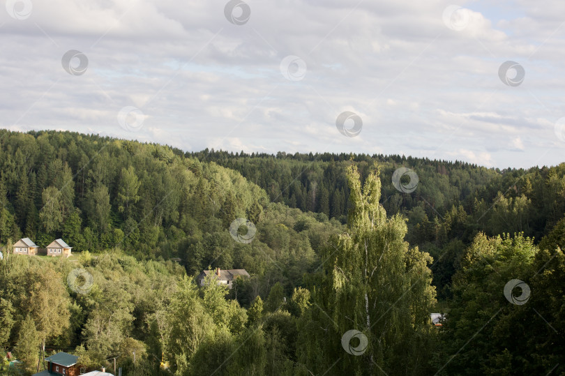 Скачать Деревья на холмах в городе Плёс в ясный летний день. фотосток Ozero