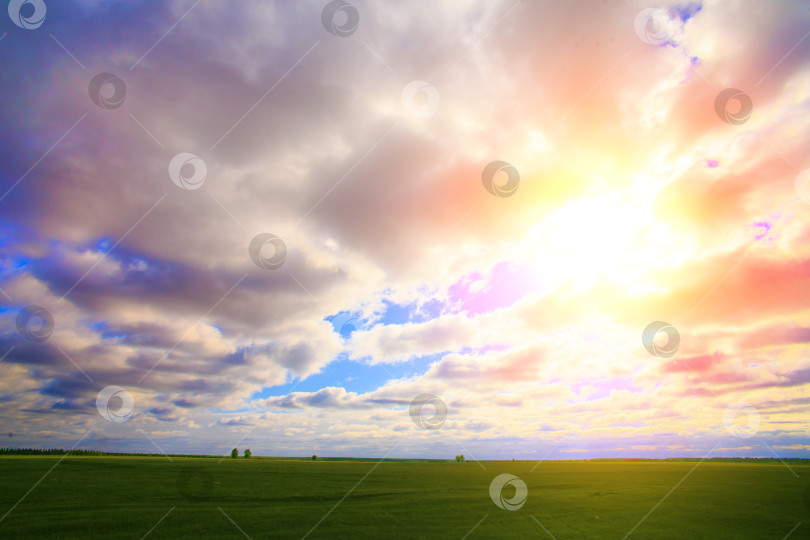 Скачать небо с солнцем и облаками над полем фотосток Ozero