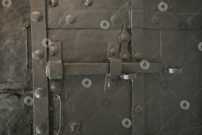 Скачать старинная кованая металлическая дверь фотосток Ozero