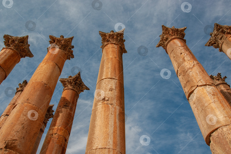 Скачать Иордания, Гераса (Джераш) - древний город, которому шесть с половиной тысяч лет. Храм Артемиды, построенный в 150 году нашей эры. Колонны храма Артемиды, сохранившиеся после сильного землетрясения в 749 году. фотосток Ozero