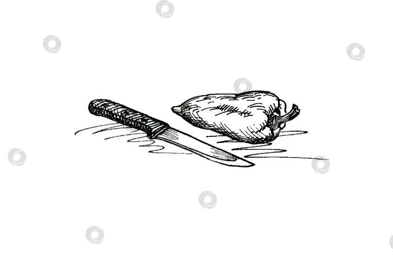 Скачать Столовый ножик и болгарский перец. Графический рисунок. фотосток Ozero