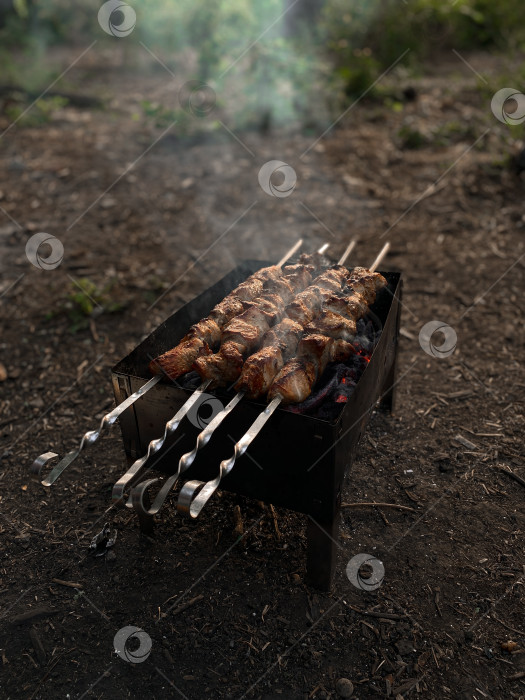 Скачать Шашлык готовится на мангале на шампурах. Готовка мяса на природе. Свинина жарится на углях фотосток Ozero