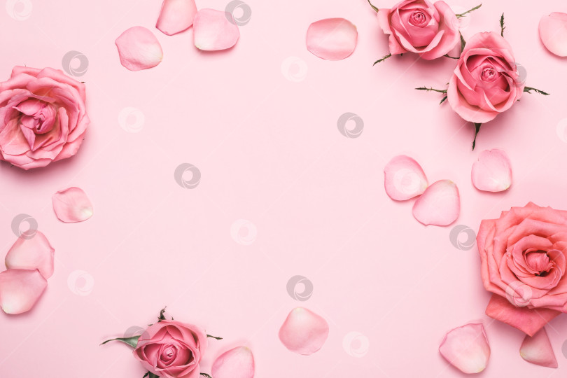 Скачать Монохромная композиция из красивых роз. Рамка из цветочных роз на розовом пастельном фоне. Поздравительная открытка на День матери, День Святого Валентина, День рождения фотосток Ozero