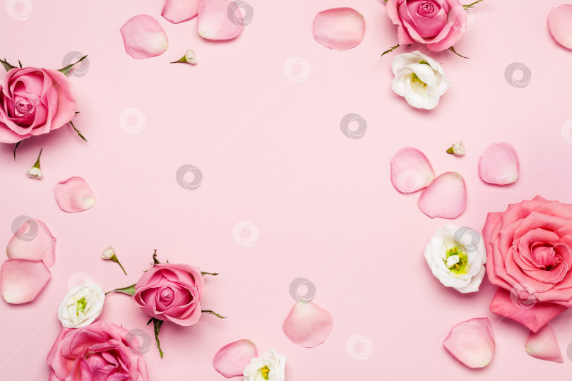 Скачать Рамка из цветочных роз и лепестки на розовом пастельном фоне. Цветочный монохромный фон для вашего дизайна фотосток Ozero