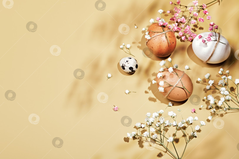 Скачать Пасхальные яйца с натуральным декором своими руками, цветами и тенями. Концепция Пасхи без отходов фотосток Ozero