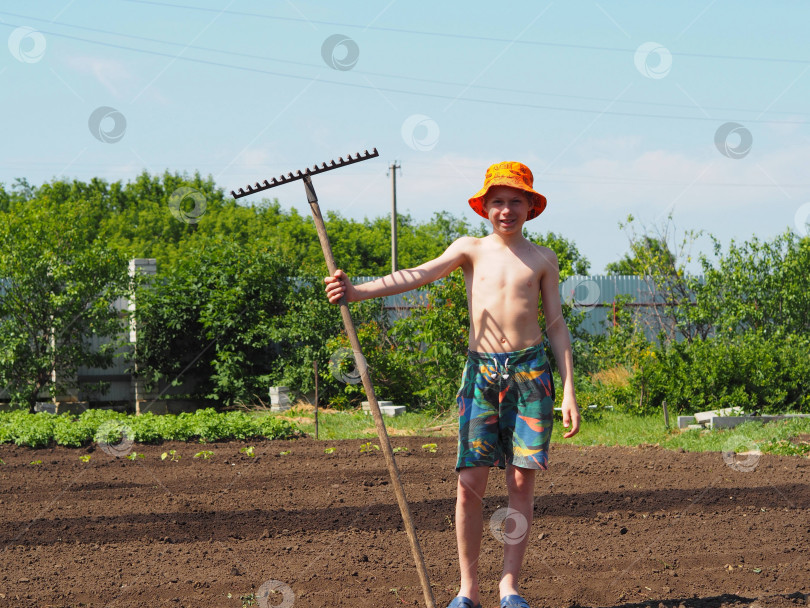 Скачать Летним днем во время школьных каникул мальчик без особых усилий работает в сельском хозяйстве. Концепция детского труда и детского досуга. фотосток Ozero