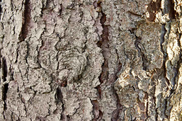 [object Object] undefined
