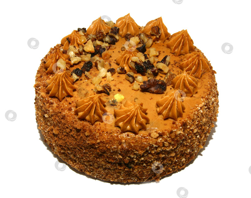 Скачать Вкусный круглый бисквитный пирог. фотосток Ozero