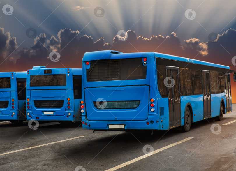 Скачать Автобусы выстраиваются в ряд на рассвете фотосток Ozero