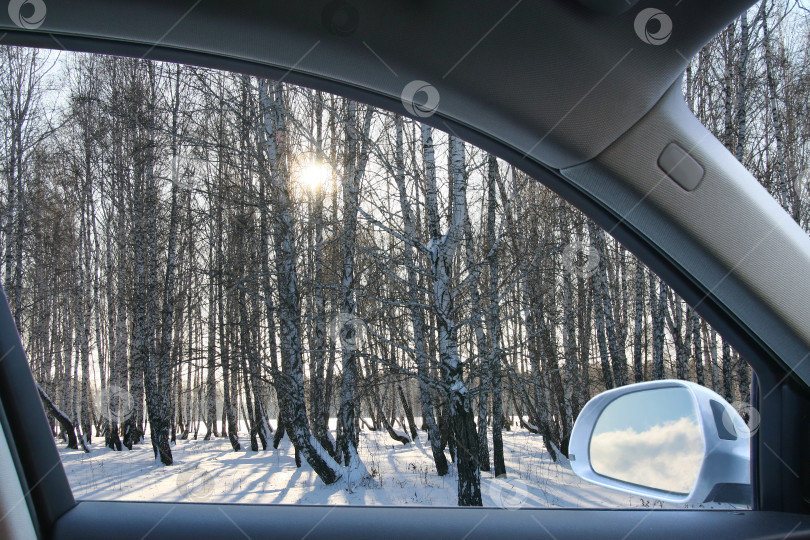 Скачать Вид из окна автомобиля на зимний лес фотосток Ozero