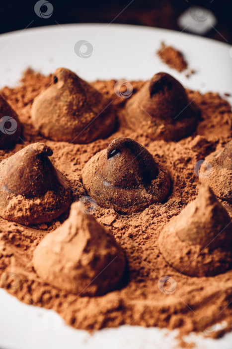 Скачать Домашние шоколадные трюфели, покрытые какао-порошком фотосток Ozero
