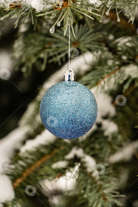 Скачать Рождественская игрушка, синий шар на размытом фоне ветвей рождественской елки. Крупный план. Настоящая зима в саду. Избирательный фокус. Там есть место для вашего текста фотосток Ozero