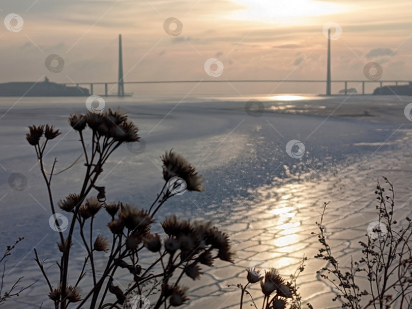 Скачать Морской зимний пейзаж в час рассвета фотосток Ozero